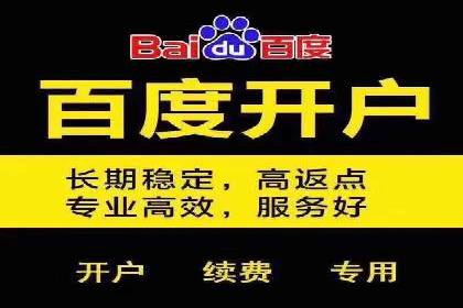 案例解析：网络推广竞价策略